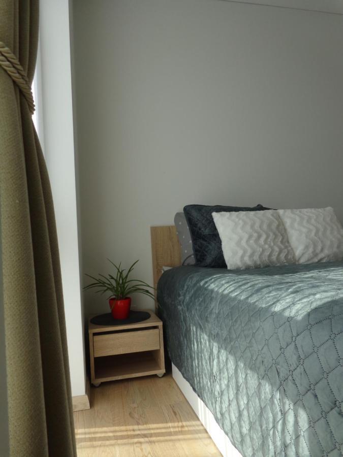 Elzbietos Centro Apartamentai Βίλνιους Εξωτερικό φωτογραφία