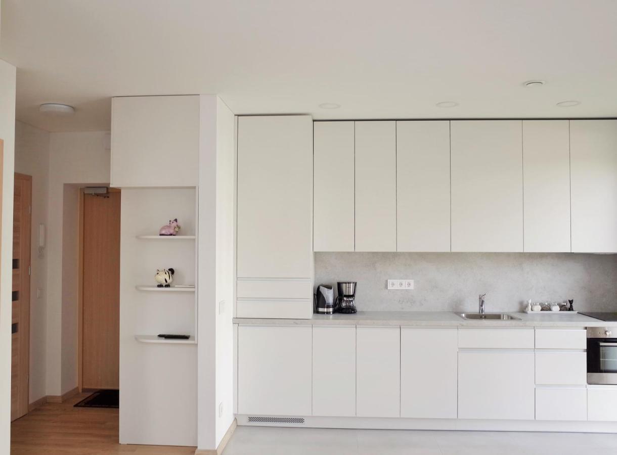 Elzbietos Centro Apartamentai Βίλνιους Εξωτερικό φωτογραφία